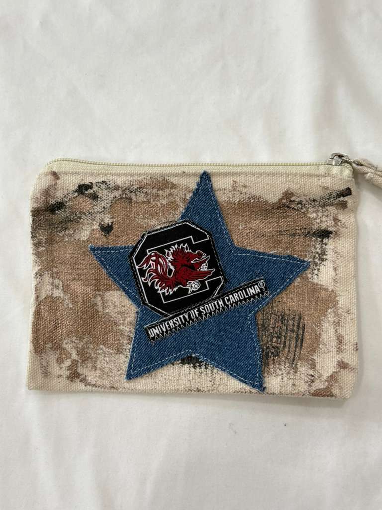 USC Mini case